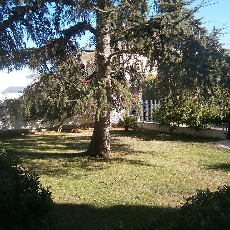 B&B Il Cedro Salve Zewnętrze zdjęcie