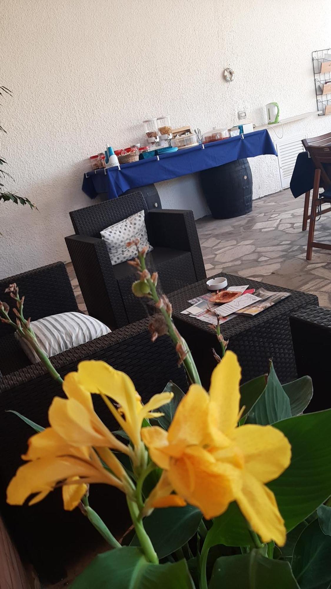 B&B Il Cedro Salve Zewnętrze zdjęcie